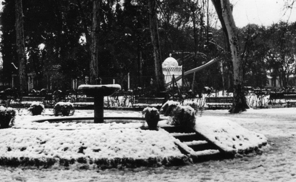 SIDI BEL ABBES 1954 SOUS LA NEIGE  (4).jpg